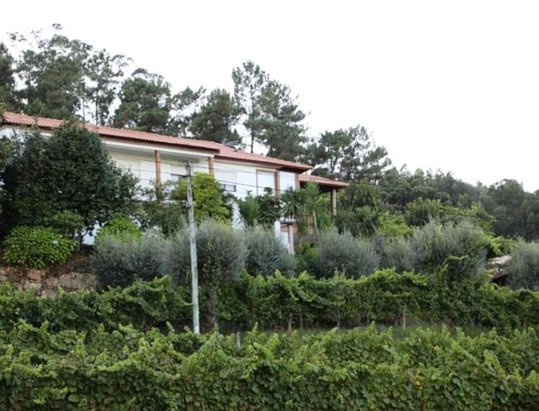 Quintinha D'Amelia Vila Celorico De Basto Exterior foto
